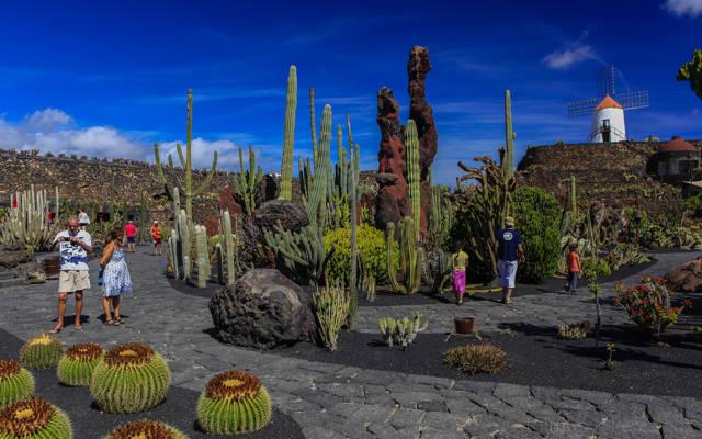 Jardin de Cactus_agarrandomaletas